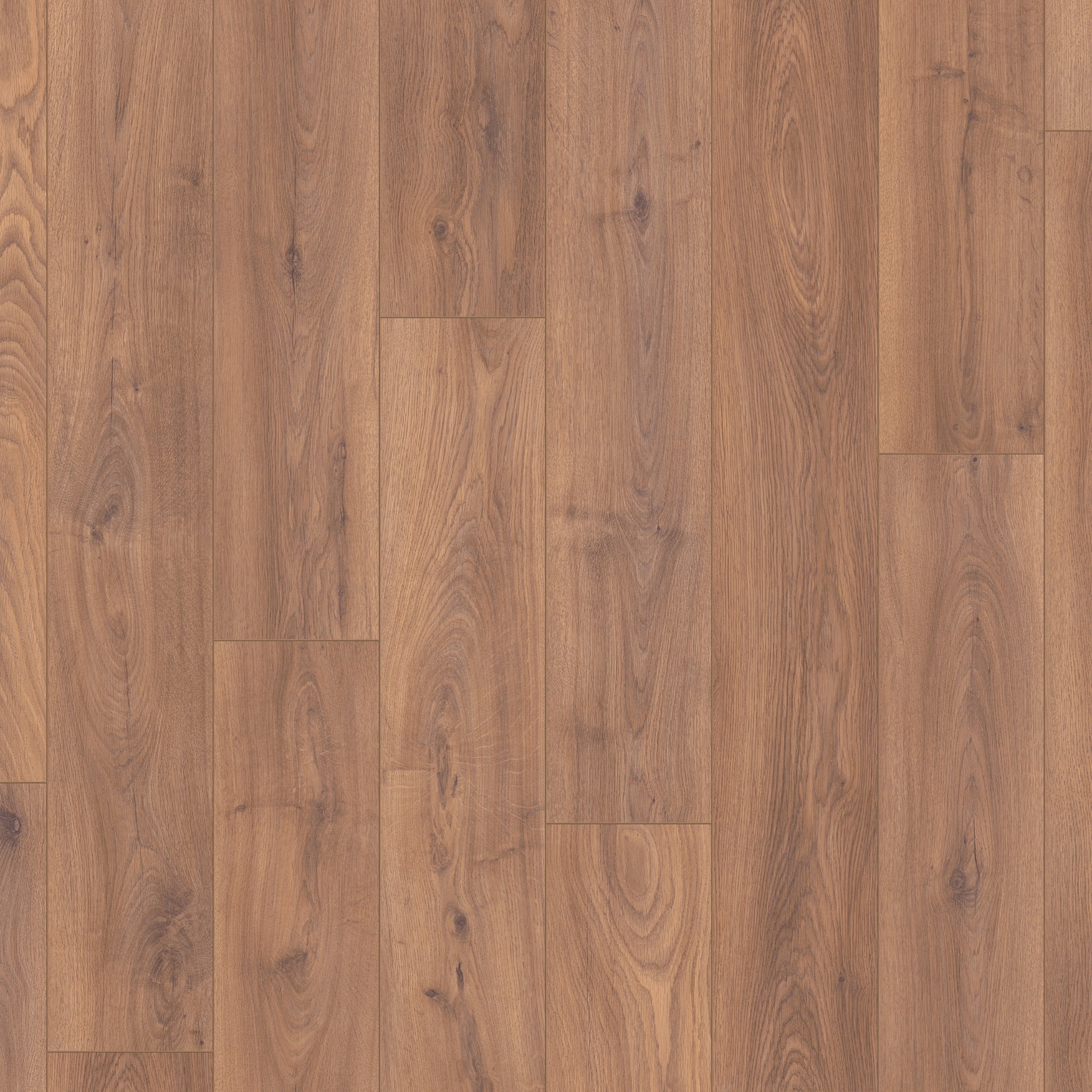 Everest Oak 8mm Straight Laminate