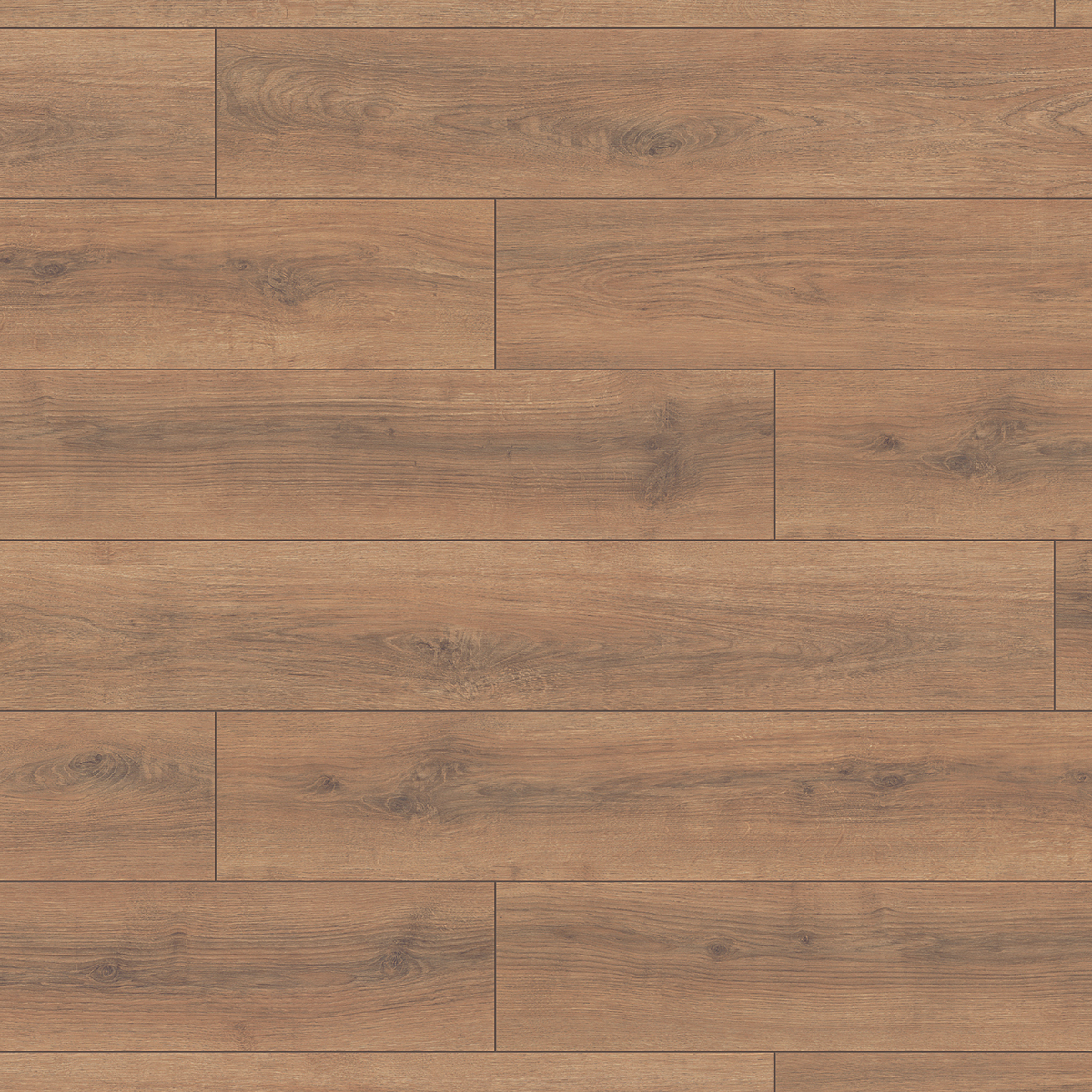 Sand Sola Oak 12mm Laminate