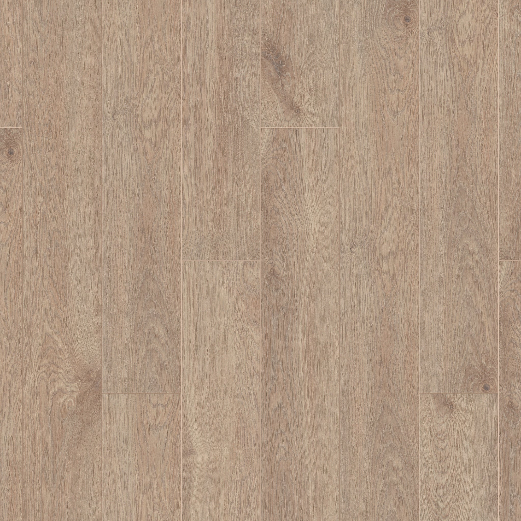 Eurus Oak 8mm Straight Waterproof Laminate - Floor Street