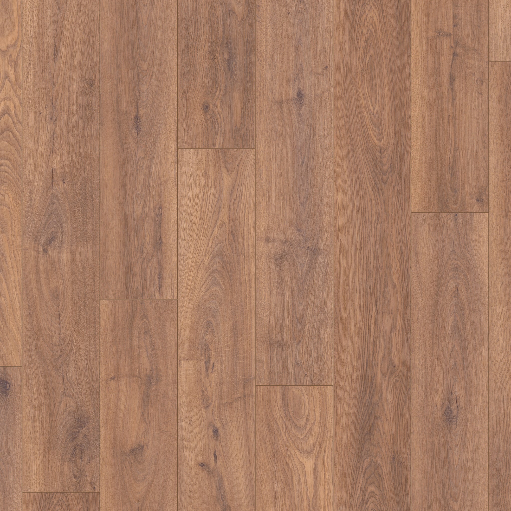 Everest Oak 8mm Straight Laminate - Floor Street
