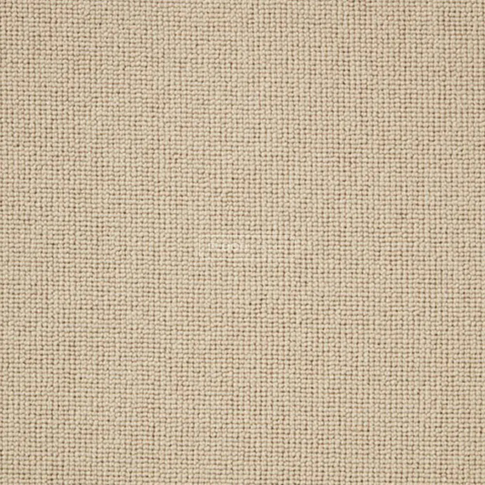 Casablanca Carpet