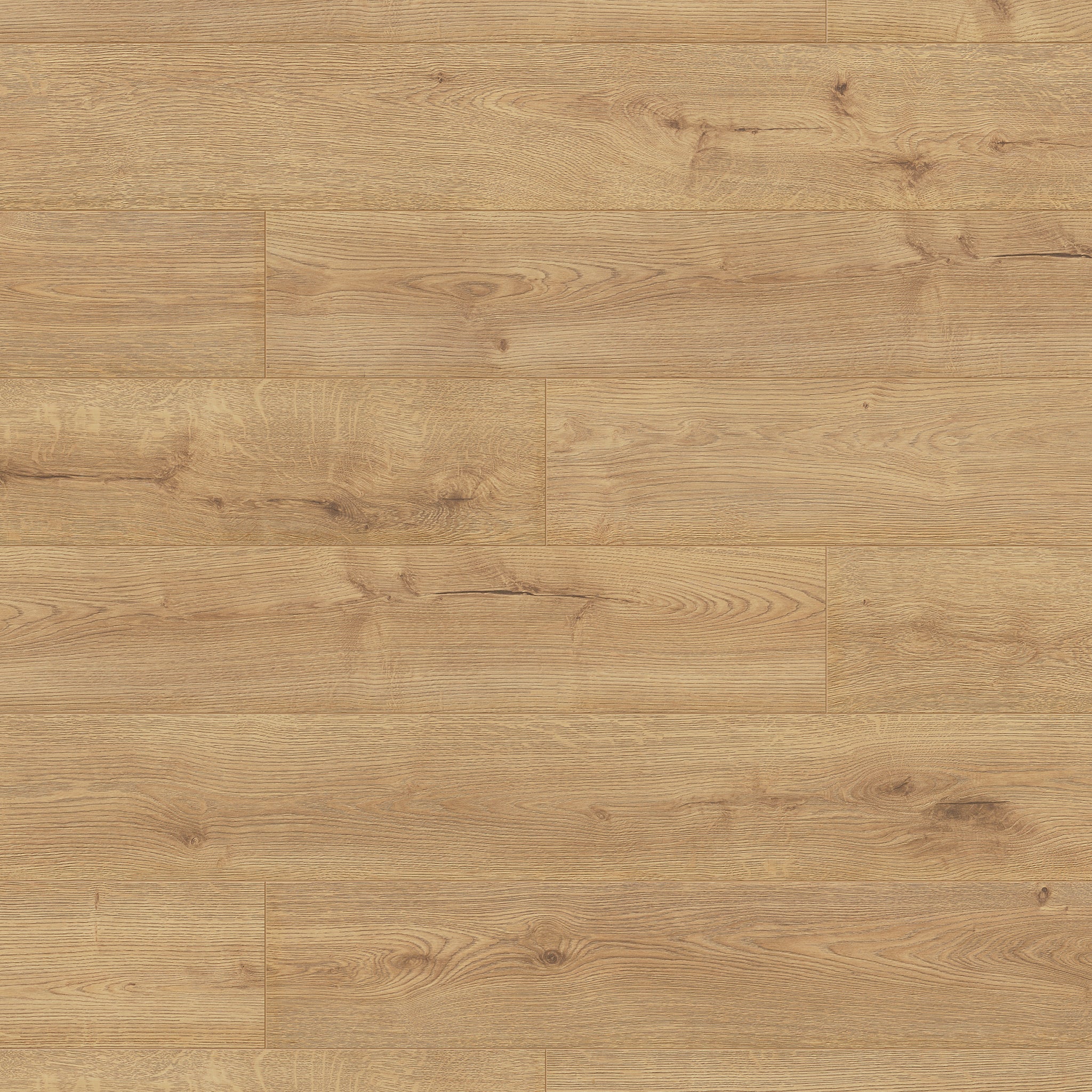 Sundance Oak 12mm Long & Wide Straight Laminate - Floor Street
