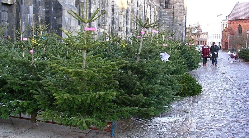 How To Protect Your Floor From The Christmas Tree