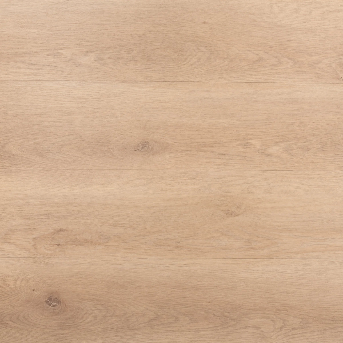 Tea & Biscuits Straight Glue Down LVT