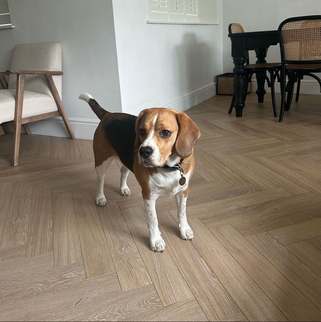 Desert Oak 12mm Herringbone Laminate - Floor Street
