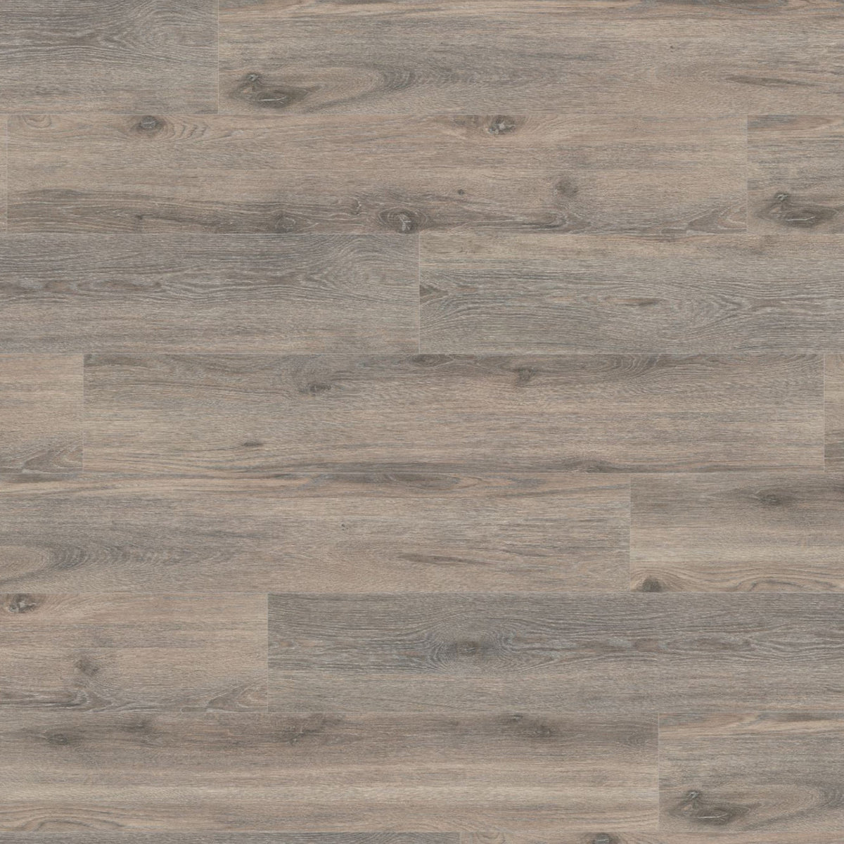 Midnight Oak 12mm Straight Laminate - Floor Street