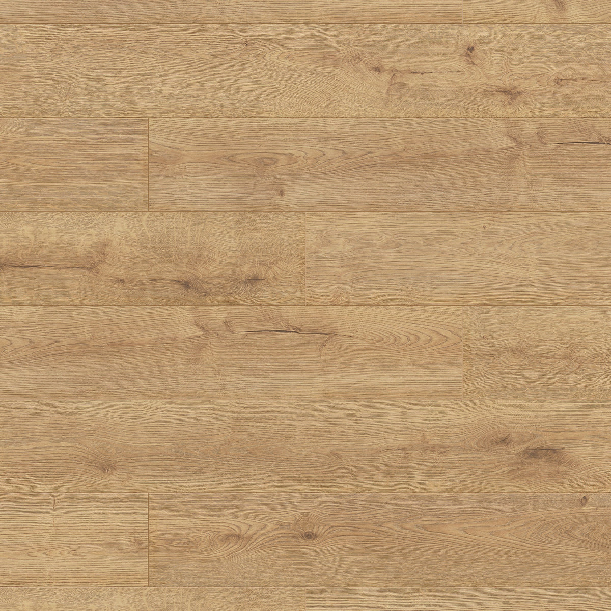 Sundance Oak 12mm Long & Wide Straight Laminate - Floor Street